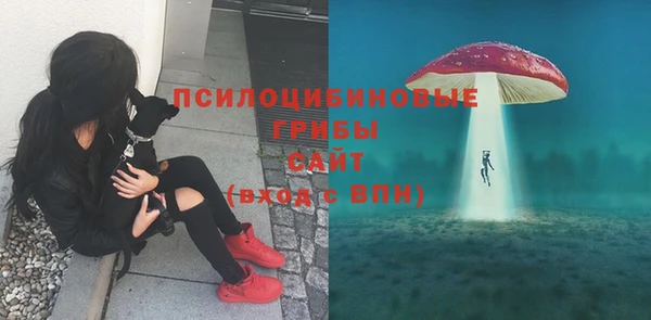 амф Мегион