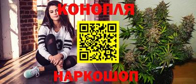прущие грибы Обь