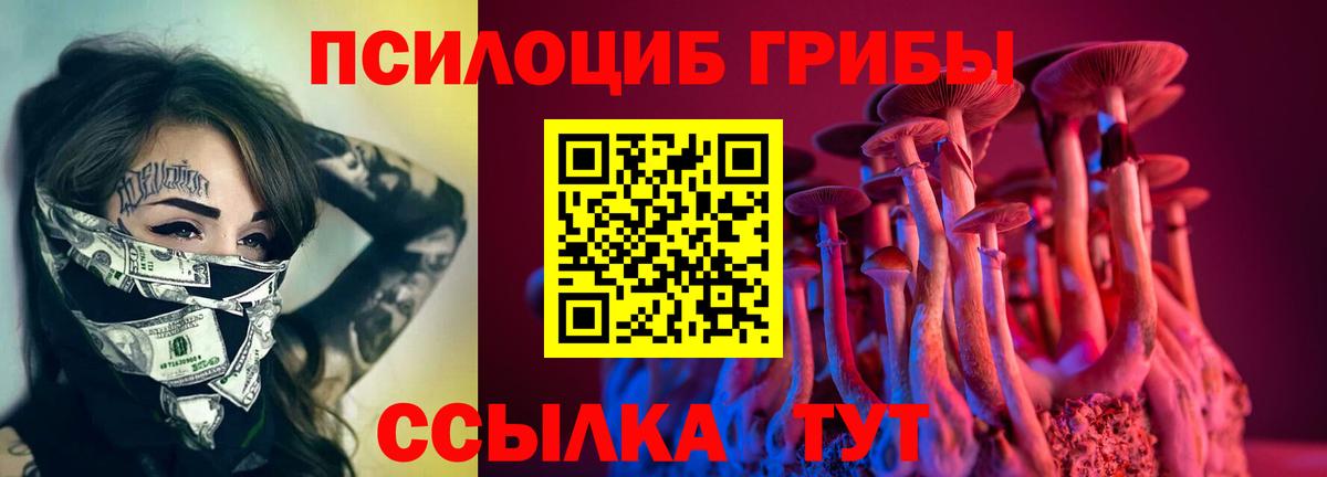 Ярославль  Псилоцибиновые грибы MAGIC MUSHROOMS  Галлюциногенные грибы Psilocybe  Вход с VPN 